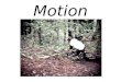 Motion. Recognizing Motion An object is in motion when its distance from another object is changing. Whether an object is moving or not depends on your
