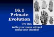 16.1 Primate Evolution Try this: Write your name without using your thumbs!
