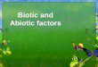 Biotic and Abiotic factors 1 All Ecosystems Have… Example: Think about a pond…