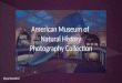 American Museum of Natural History Photography Collection Diana Rosenthal