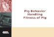 Pig Behavior Handling Fitness of Pig. Section TitleKey Topic