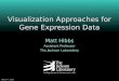 March 4, 20101 Visualization Approaches for Gene Expression Data Matt Hibbs Assistant Professor The Jackson Laboratory