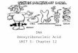 DNA Deoxyribonucleic Acid UNIT 5: Chapter 12. AIM: Explain how the genetic code is contained within DNA