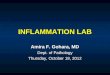 INFLAMMATION LAB Amira F. Gohara, MD Dept. of Pathology Thursday, October 18, 2012