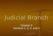 Judicial Branch Chapter 8 Sections 1, 2, 3, and 4