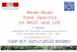 T. Pieloni Laboratory of Particle Accelerators Physics EPFL Lausanne and CERN - AB - ABP Beam-Beam Tune Spectra in RHIC and LHC In collaboration with: