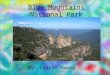Blue Mountains National Park By: Calvin Kwong. Fact File Official Name: Blue Mountains Population: 73,675 Area: 1430km squared Mayor: Adam Searle Main