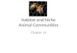 Habitat and Niche Animal Communities Chapter 14. KEY CONCEPT Every organism has a habitat and a niche