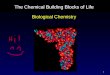 1 The Chemical Building Blocks of Life Biological Chemistry