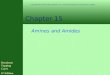 Chapter 15 Amines and Amides Denniston Topping Caret 6 th Edition Copyright  The McGraw-Hill Companies, Inc. Permission required for reproduction or display