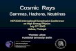 Cosmic Rays Gammas, Hadrons, Neutrinos Thomas Lohse Humboldt University Berlin HEP2005 International Europhysics Conference on High Energy Physics July