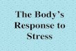 The Body’s Response to Stress. What is Stress? Stress is your body’s reaction to the physical and mental demands of daily life