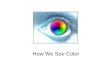 How We See Color. Color is derived from Reflected Light. White light from the sun is actually a combination of all colors. When light passes through a