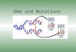 DNA and Mutations. Mutation Facts #1-5 Write down five facts about mutations as we go through the following videoclips Video 1 Video 2 – Repair Video
