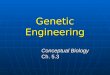 Genetic Engineering Conceptual Biology Ch. 5.3. Vocabulary 1. genetic engineering 2. selective breeding 3. hybridization 4. inbreeding 5. mutation 6