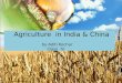 Agriculture in India & China by Aditi Kochar Class IV