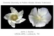 Genetic Diversity in Pollen Abiotic Stress Tolerance John J. Burke USDA-ARS, Lubbock, TX
