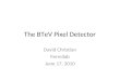 The BTeV Pixel Detector David Christian Fermilab June 17, 2010