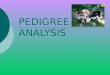 PEDIGREE ANALYSIS - Ex: sickle cell anemia, downs syndrome, and cystic fibrosis