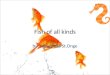 Fish of all kinds by: Genevieve St.Onge. Fish living Fish live a life cycle no other animal lives. Yes whales or dolphins live in the water but they take
