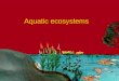 Aquatic ecosystems. Aquatic Ecosystems Marine eco systems Open sea Coastal Estuary and salt marshes Coral reefs and mangroves An ecosystem located in