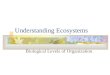 Understanding Ecosystems Biological Levels of Organization