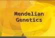 1 Mendelian Genetics copyright cmassengale 2 Genetic Terminology  Trait - any characteristic that can be passed from parent to offspring  Heredity