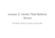 Lesson 2: Herbs That Relieve Stress Mother Nature Natural Healer