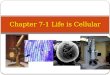 Chapter 7-1 Life is Cellular. Early Microscopes Robert Hooke -1665 looked at a thin slice of cork, from the cork oak tree Coined the term “cells”; looked