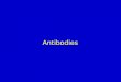 Antibodies. Introduction Definition: Immunoglobulins represent animal proteins, which possess antibody activity and other proteins with related chemical