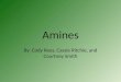 Amines By: Cody Rees, Cassie Ritchie, and Courtney Smith