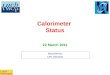 Calorimeter Status Pascal Perret LPC Clermont 22 March 2011