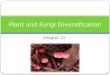 Chapter 12 Plant and Fungi Diversification. Plants