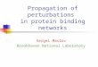 Propagation of perturbations in protein binding networks Sergei Maslov Brookhaven National Laboratory