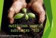 Nutritious vegetal substrates “BIO” best natural gifts of Ukrainian lands