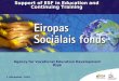 1 December, 2004 Agency for Vocational Education Development Riga Support of ESF in Education and Continuing Training