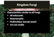 Kingdom Fungi Characteristics similar to all Fungi: All eukaryotic Heterotrophic Multicellular (except yeast) Are not motile