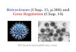 Retroviruses (Chap. 15, p.308) and Gene Regulation (Chap. 14) HIV (human immunodeficiency virus)