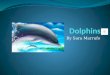 By Sara Marrufo Body Dolphins are sea animals. There body can get up to 30 feet long. Dolphins use there tail flukes up and down to swim. Dolphins use