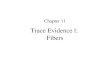 Trace Evidence l: Fibers Chapter 11. Fiber Evidence A fiber is the smallest unit of a textile material that has a length many times greater than its diameter
