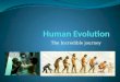 The Incredible journey. What is Evolution? Evolution: Change of the genetic composition of a population over successive generations It is a result of