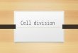 Cell division. http://www.youtube.com/watch?v=Q6uc KWIIFmg http://www.youtube.com/watch?v=Q6uc KWIIFmg