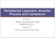 DH110 ORAL HISTOLOGY AND EMBRYOLOGY Lesson 7 Tammy Fisher RDH BS Periodontal Ligament, Alveolar Process and Cementum