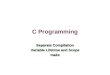 C Programming Separate Compilation Variable Lifetime and Scope make