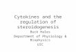 Cytokines and the regulation of steroidogenesis Buck Hales Department of Physiology & Biophysics UIC