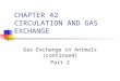 CHAPTER 42 CIRCULATION AND GAS EXCHANGE Gas Exchange in Animals (continued) Part 2