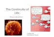 The Continuity of Life: Reproduction Chapter 46 Campbell & Reece