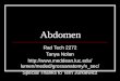 Abdomen Rad Tech 2272 Tanya Nolan  meded/grossanatomy/x_sec/ Special Thanks to Terri Jurkiewicz