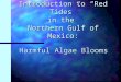 Introduction to “Red Tides” in the Northern Gulf of Mexico: Harmful Algae Blooms