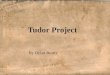 Tudor Project By Dylan Beatty. Wednesday, April 20, 1509 EST. 1485 Price 6d Henry VIII to take the throne Will Henry VIII marry Catherine of Aragon? It